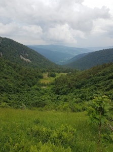 Carnet de randonnée club vosgien Lièpvre Rombach le franc - 2