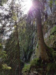 Carnet de randonnée club vosgien Lièpvre Rombach le franc - 3