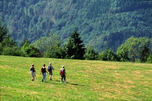 Randonnées patrimoine 2018