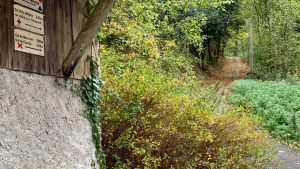 Rombach le Franc départ vers le col de la Hingrie