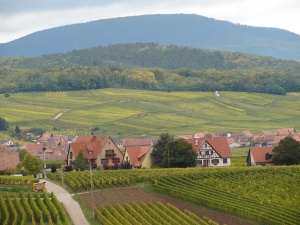 Andlau et ses vignes