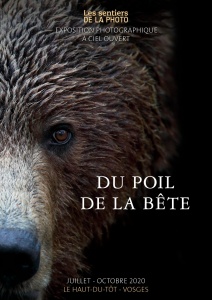 Exposition les sentiers de la photo 2020