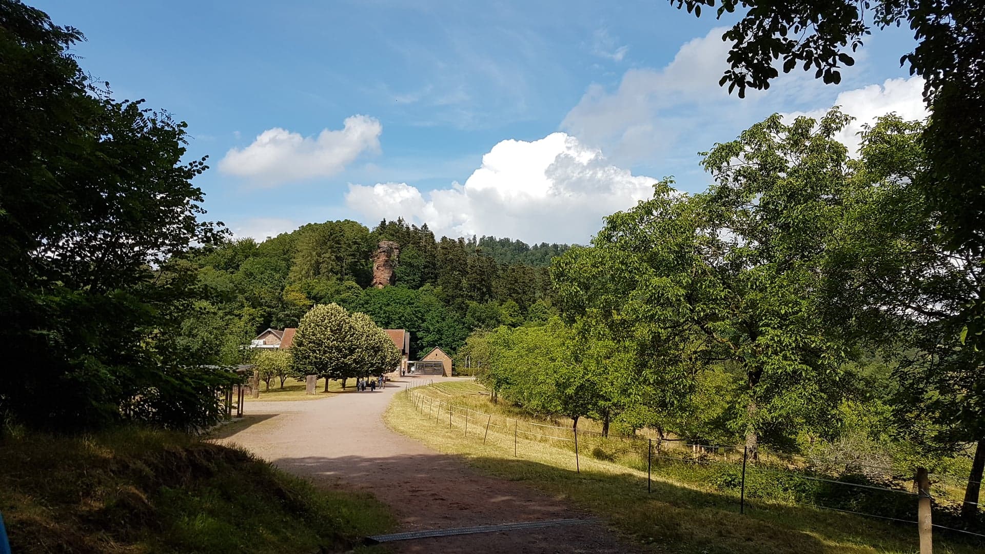 Randonnée Club Vosgien Lièpvre Rombach le franc en Vosges du nord Palatinat, château Fleckenstein, du château du Loewenstein, sentier des roches 15 juillet 2020 -17
