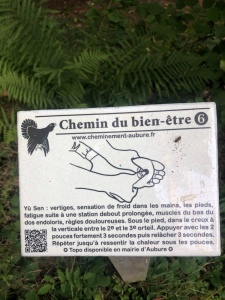 Randonnée pédestre, chemin du Bien être à Aubure, samedi 12 septembre 2020-5