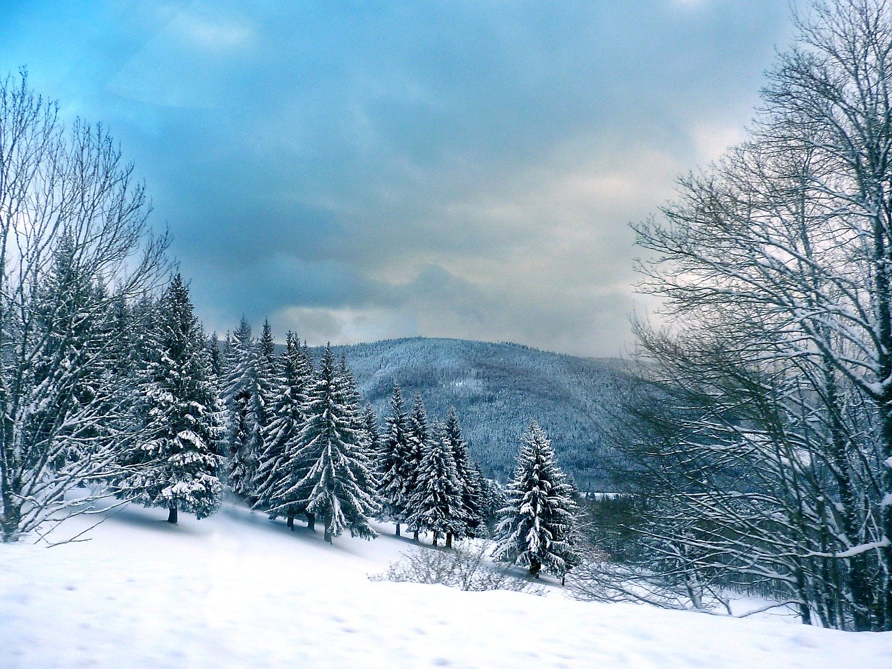 Vosges sous la neige, image par Yves Bernardi de Pixabay