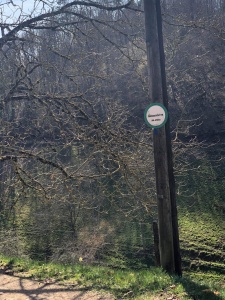 première randonnée 2021-4