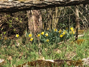 première randonnée 2021-5