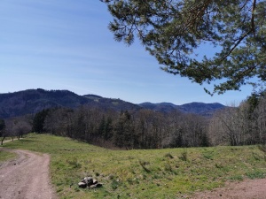 première randonnée 2021-9