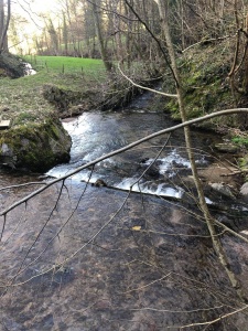 première randonnée 2021-13