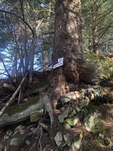 première randonnée 2021-18