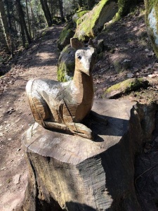 deuxième randonnée 2021-20