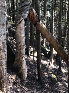 deuxième randonnée 2021-14