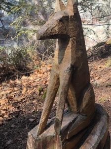 deuxième randonnée 2021-4