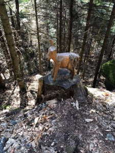 deuxième randonnée 2021-3