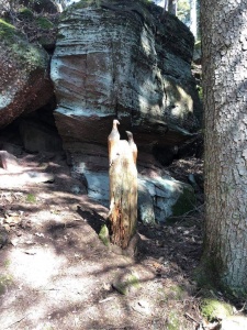 deuxième randonnée 2021-9