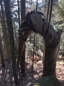 deuxième randonnée 2021-15