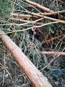katia-saulnier-(a-gauche)-et-sa-soeur-tatiana-neumann-lors-d-un-entrainement-en-foret-de-la-vancelle-photo-dr