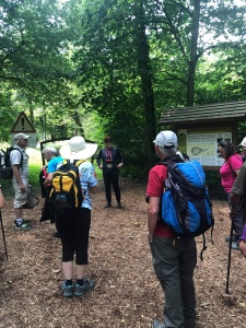 souvenir de la randonnée pédestre et visite Grand Canon Zillisheim et sentier des comtes de Ferrette-1