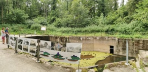 souvenir de la randonnée pédestre et visite Grand Canon Zillisheim et sentier des comtes de Ferrette-4