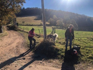 Randonnée vin nouveau du 24 octobre 2021-10