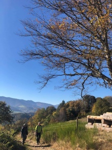 Randonnée vin nouveau du 24 octobre 2021-5