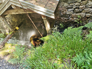 randonnée la scierie du lancoir et le sentier "Défilé de Straiture" -5