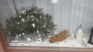 Photo d'Antsirabe Lou du 19 novembre 2022