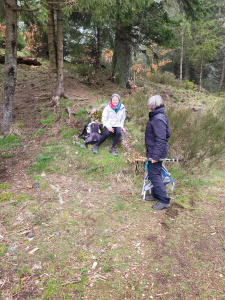 Randonnée guidée à Lapoutroie, dimanche 16 avril 2023 -4
