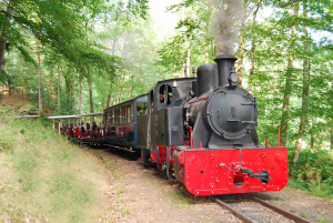 randonnée sur le Donon et train touristique Abrechwiller jeudi 3 août 2023-1