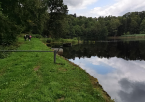 Randonnée sur le sentier des moines irlandais (St Colomban) Raddon le chat pendu Annegray, mille étang (70), le 26 juillet 2023-7