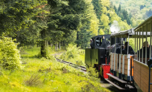 train forestier abreschviller