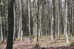 randonnees-val-de-ville-1