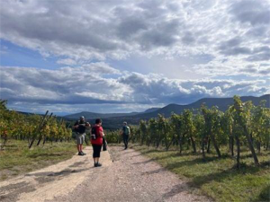 Randonnée Balade Autour de Villé, samedi 23 septembre 2023-1