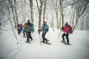 une sortie au grand air