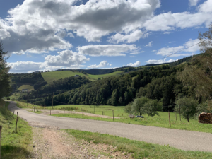 Du col des Bagenelles au petit Brezouard-2