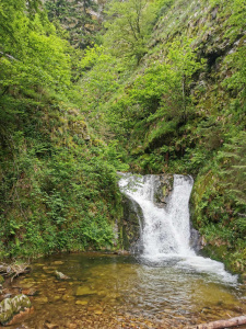 Randonnée Club Vosgien Lièpvre Rombach Ie franc aux 7 cascades Allerheil… 7