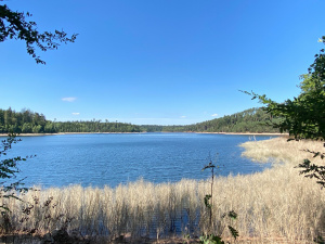 Tour du lac de Pierre-Percée