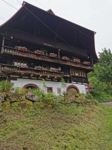 Randonnée Club Vosgien Lièpvre Rombach Ie franc aux 7 cascades Allerheil… 8