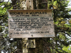 Randonnée le 30 juillet 2024 au lac de La Maix-7