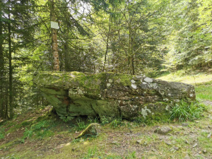 Randonnée le 30 juillet 2024 au lac de La Maix-6