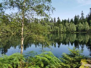 Randonnée le 30 juillet 2024 au lac de La Maix-4