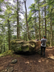 Randonnée le 30 juillet 2024 au lac de La Maix-8