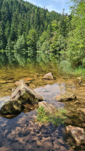Randonnée le 30 juillet 2024 au lac de La Maix-9