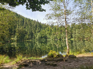 Randonnée le 30 juillet 2024 au lac de La Maix-3