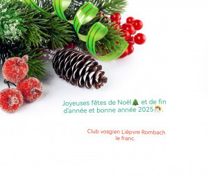 joyeuses fêtes de Noël et de fin d'année