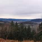 Le Club vosgien repart sur les sentiers, le dimanche 26 janvier 2025 -5