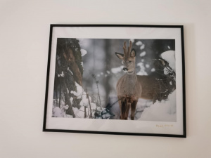 gîte de l'ancienne verrerie royale -10