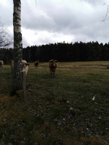 randonnée du 23 mars 2025-3