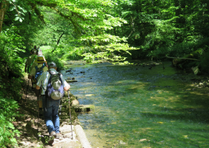 Randonnée du grand canyon en Forêt Noire-2