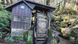 Randonnée aux fontaines à schnaps Mühlenweg -2